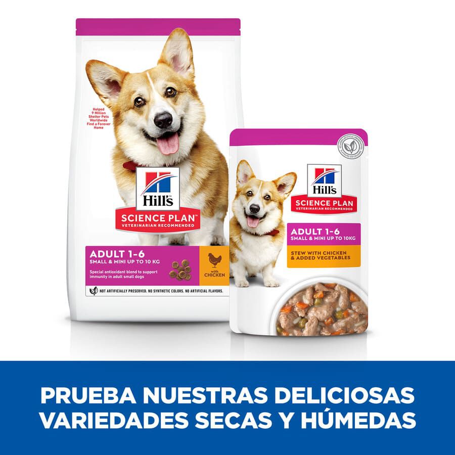 12 sobres x 80 g Hill's Science Plan Adult Small & Mini Estofado de Pollo Sobres para perros &iexcl;Pack ahorro!, , large Imagen numero 6